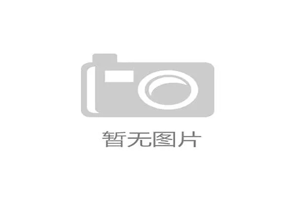 世界羽联混双格局生变 新组合连夺冠军